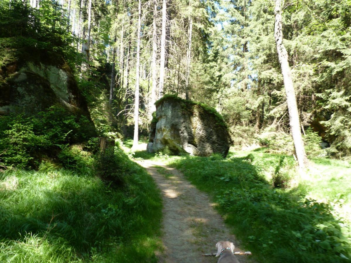 Ein Platz Fuer Ruhe Und Naturgenuss Зебниц Экстерьер фото