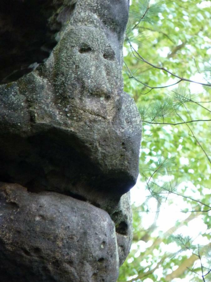 Ein Platz Fuer Ruhe Und Naturgenuss Зебниц Экстерьер фото